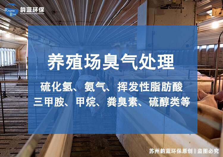 豬舍除臭系統有哪些？探討豬舍除臭技術